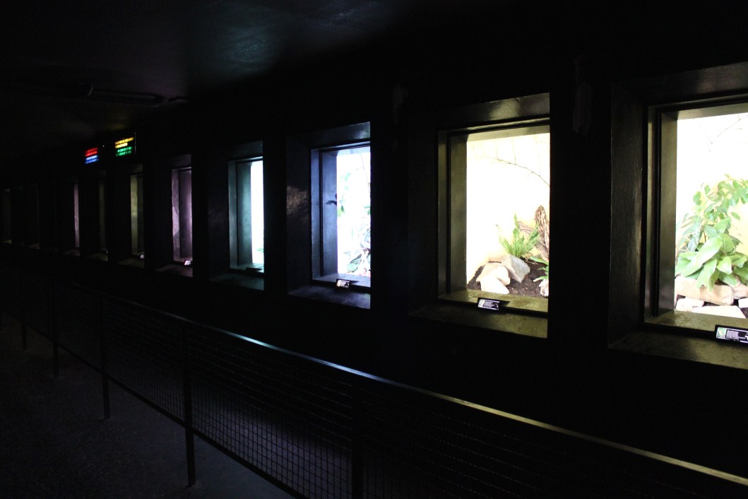 ZOO Antwerpen - Bird House