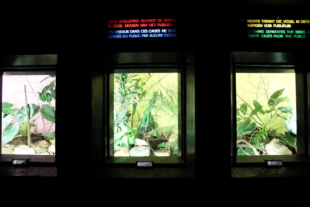 ZOO Antwerpen - Bird House