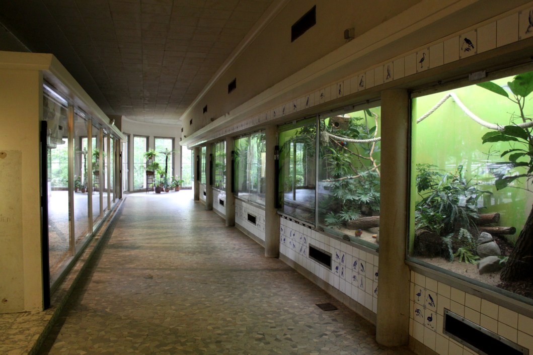 ZOO Antwerpen - Bird House