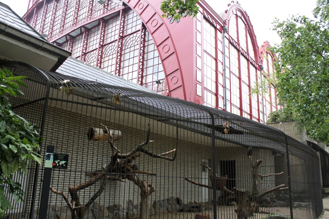 ZOO Antwerpen - Birds of Prey Aviaries and Station