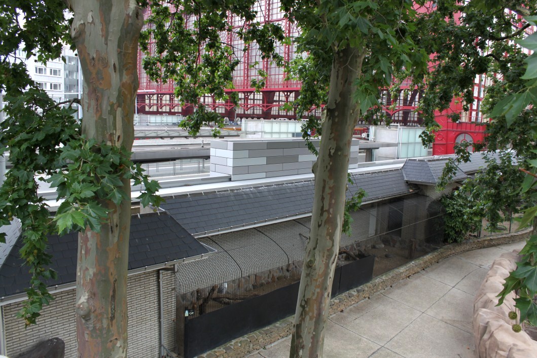 ZOO Antwerpen - Birds of Prey Aviaries and Station