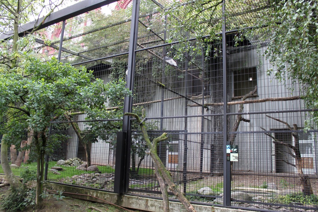 ZOO Antwerpen - Birds of Prey Aviaries