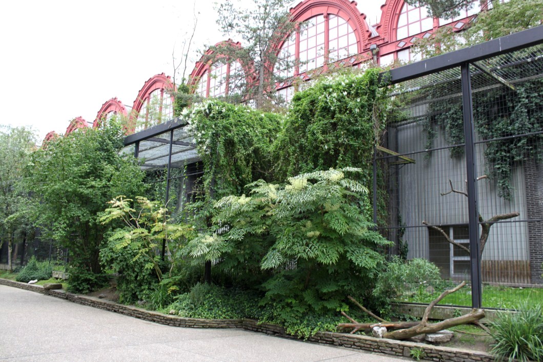ZOO Antwerpen - Birds of Prey Aviaries