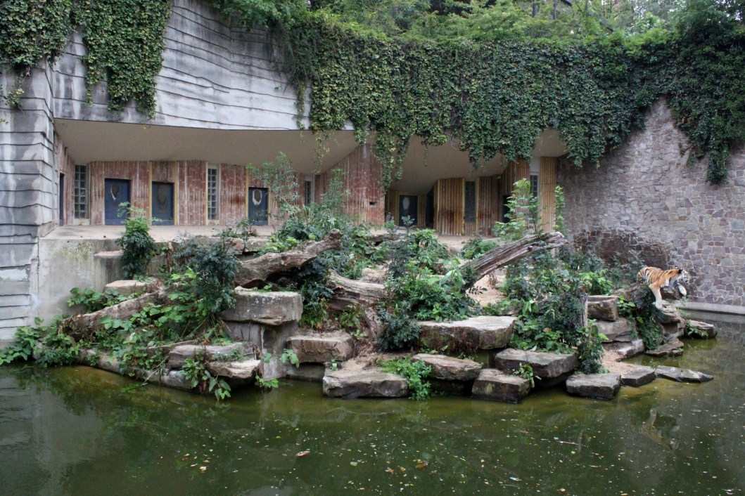 ZOO Antwerpen - Carnivore exhibit (Tiger)