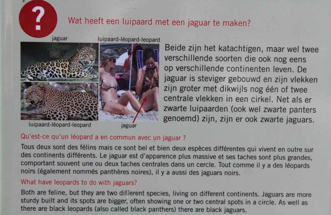 ZOO Antwerpen - Carnivore signage