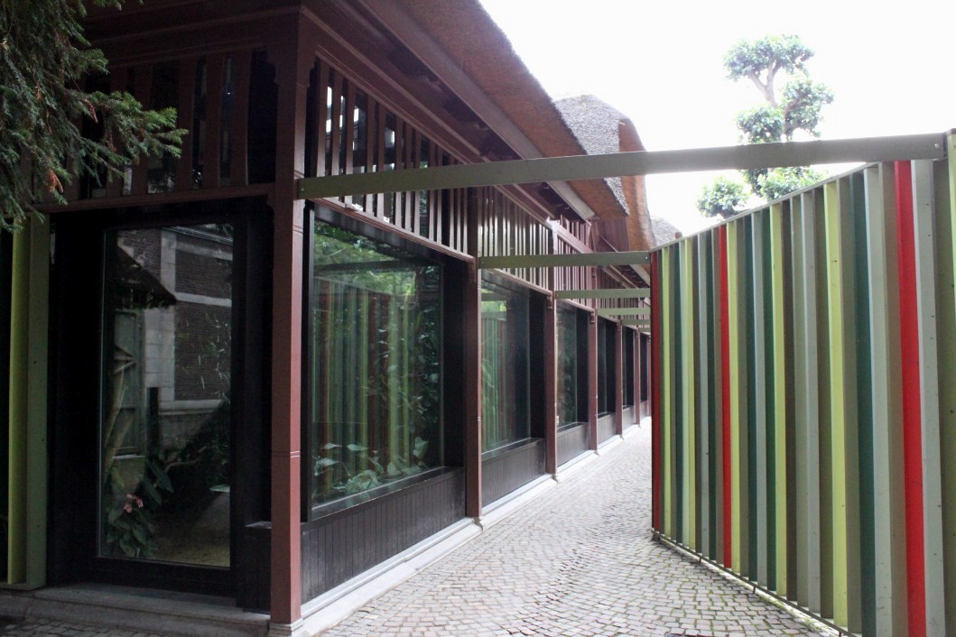 ZOO Antwerpen - Congo Peafowl Breeding Centre