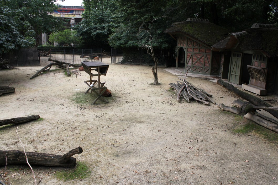 ZOO Antwerpen - Dybowski deer exhibit