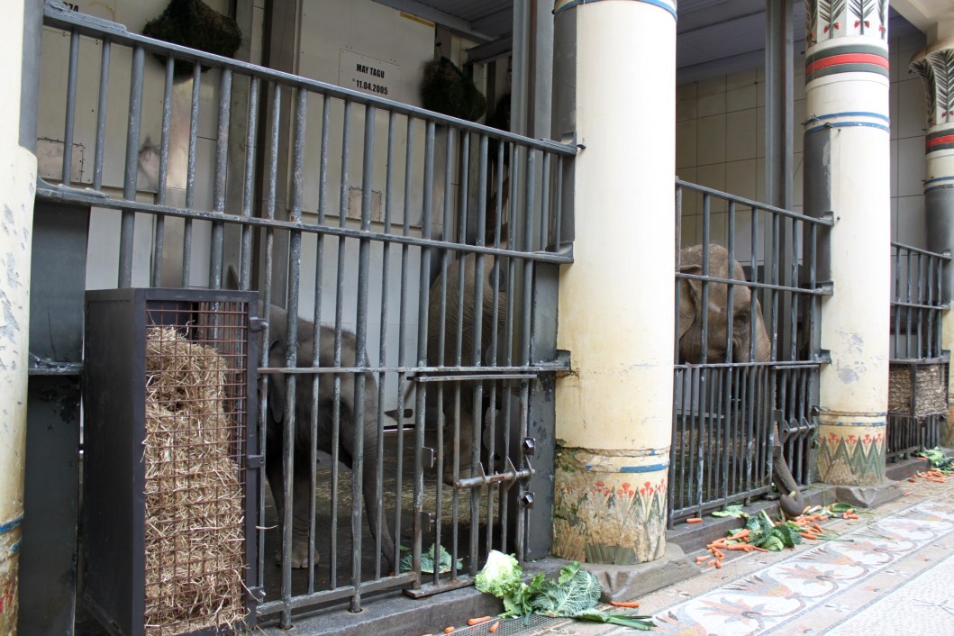 ZOO Antwerpen - Egyptian Temple (Elephant)