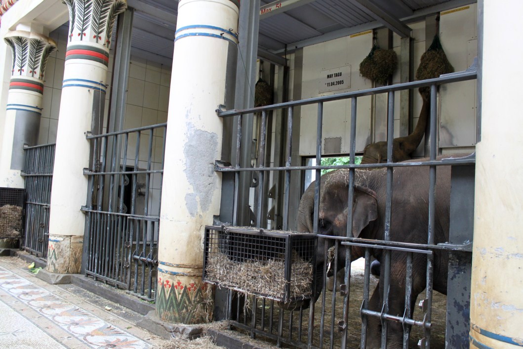 ZOO Antwerpen - Egyptian Temple (Elephant)