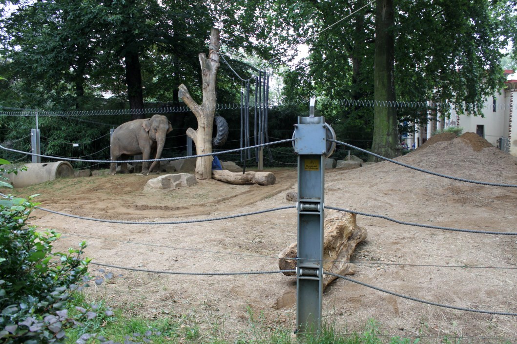 ZOO Antwerpen - Egyptian Temple (Elephant)