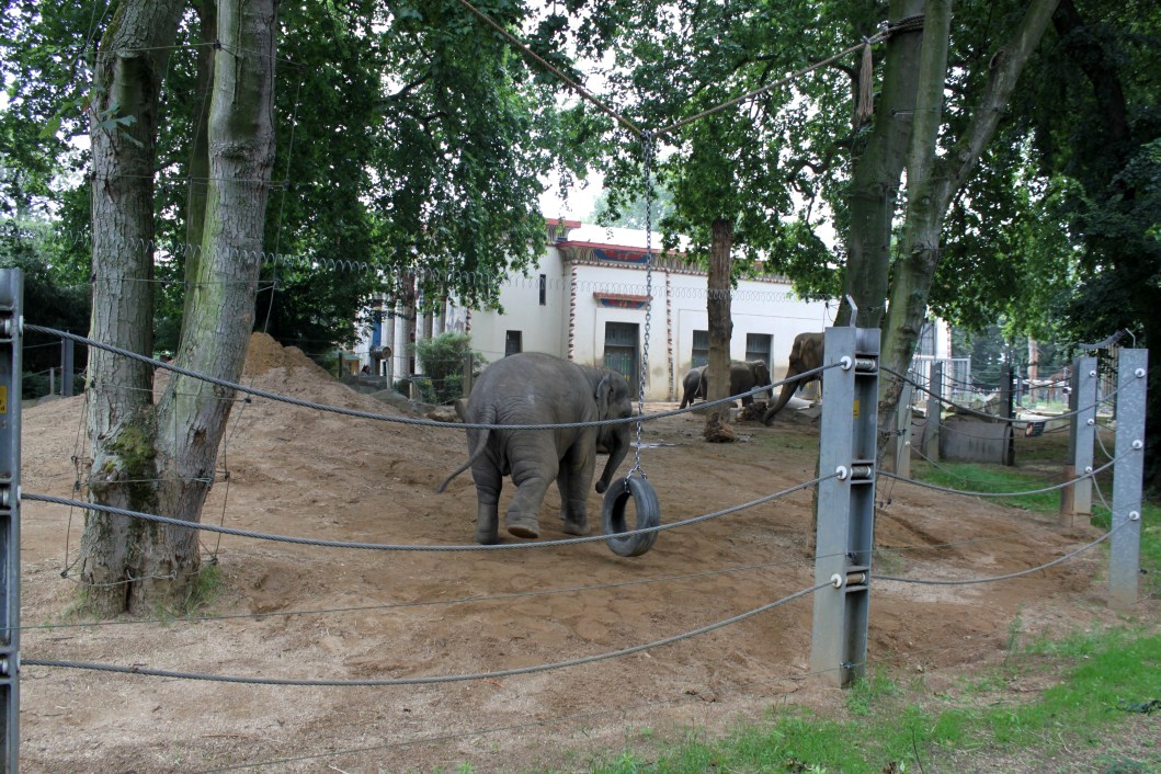 ZOO Antwerpen - Egyptian Temple (Elephant)