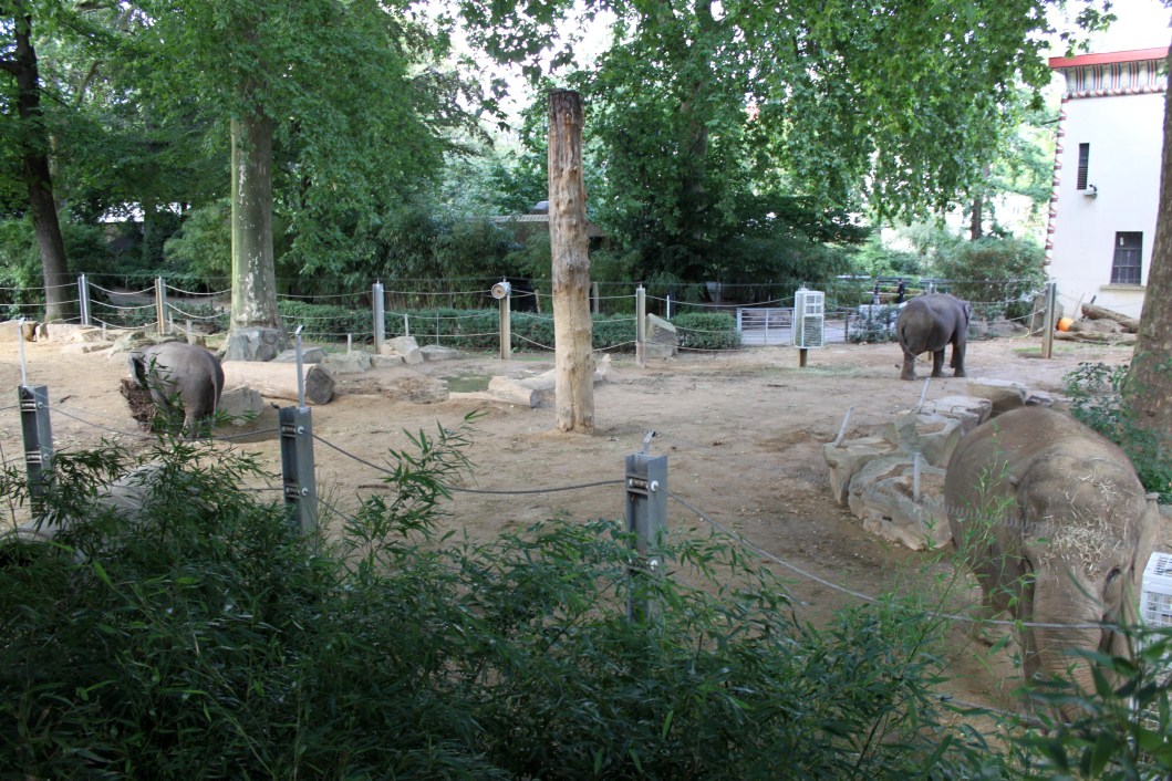 ZOO Antwerpen - Egyptian Temple (Elephant)