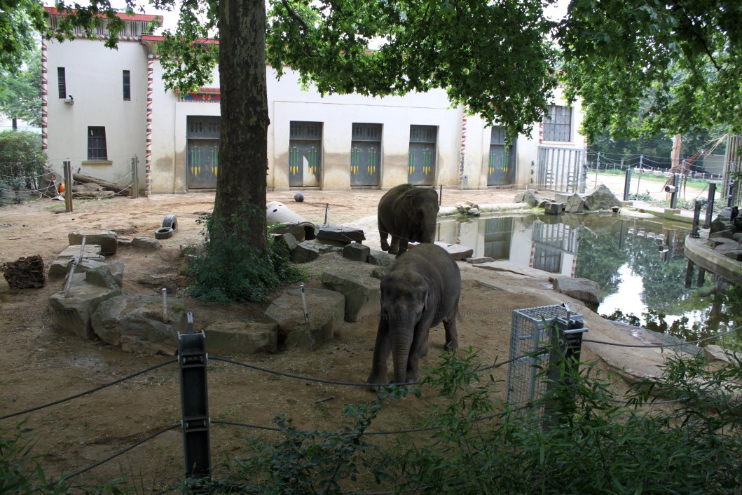 ZOO Antwerpen - Egyptian Temple (Elephant)