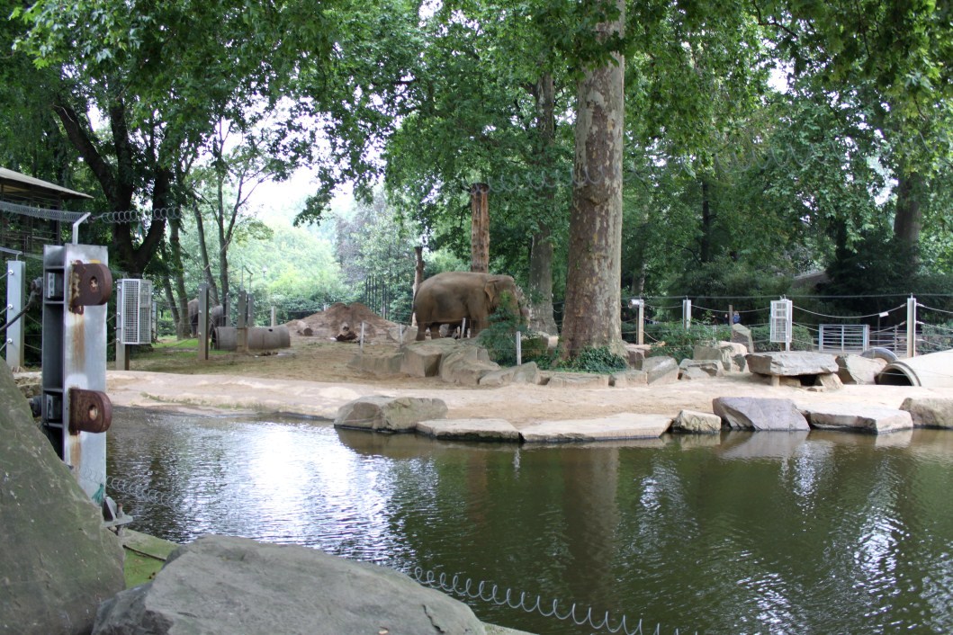 ZOO Antwerpen - Egyptian Temple (Elephant)