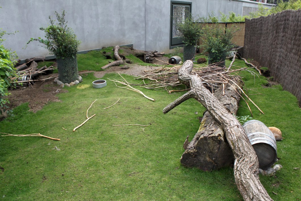 ZOO Antwerpen - Extension area (Rabbits)