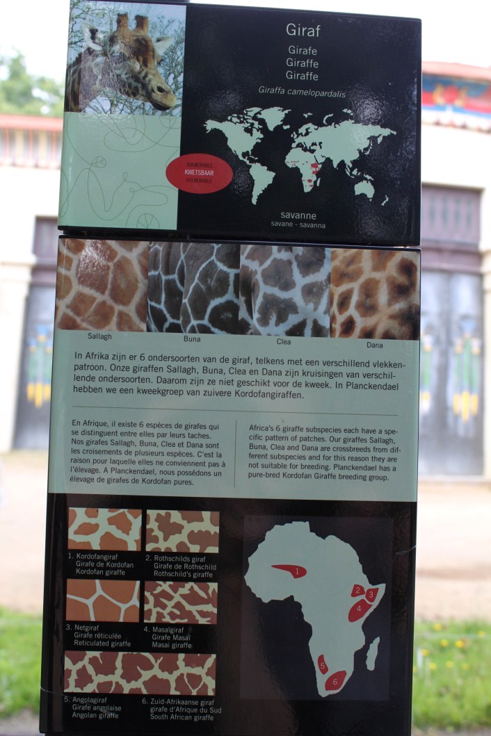 ZOO Antwerpen - Giraffe signage
