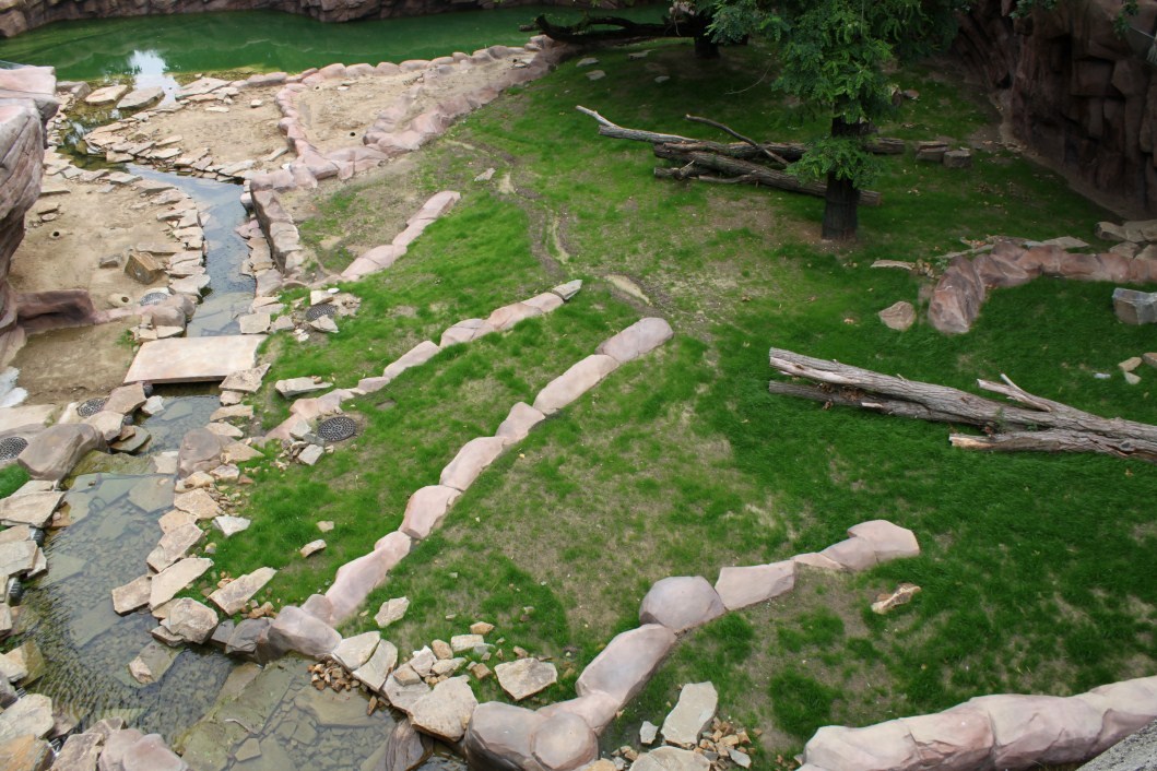 ZOO Antwerpen - Great Plains (Lion)