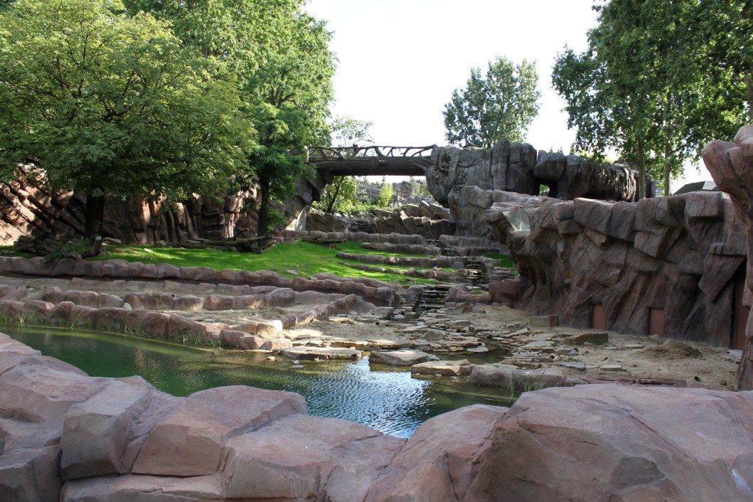 ZOO Antwerpen - Great Plains (Lion)