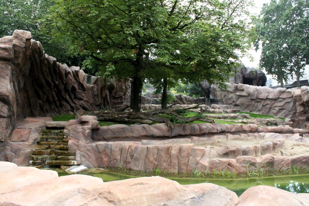 ZOO Antwerpen - Great Plains (Lion)