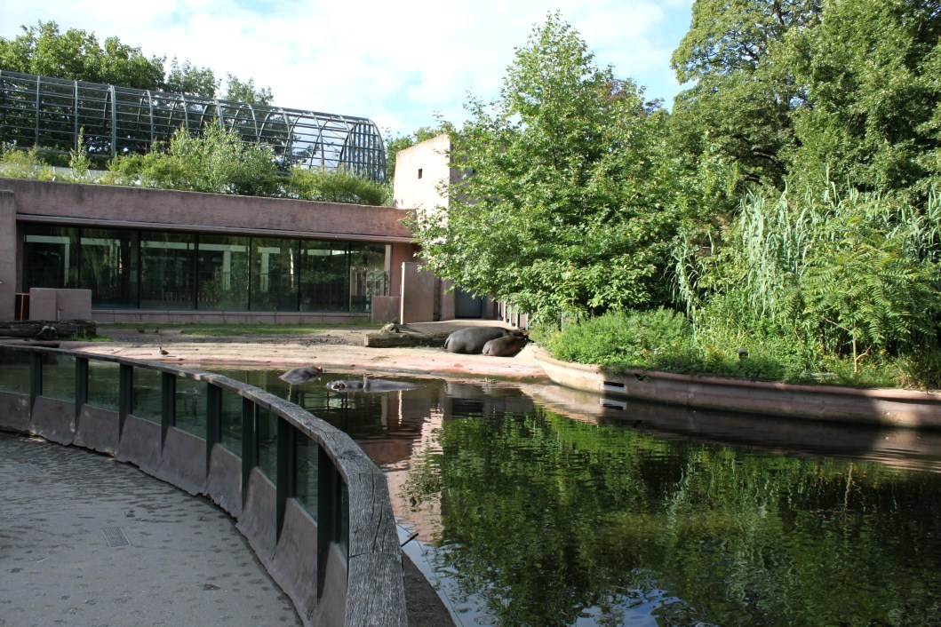ZOO Antwerpen - Hippotopia (Hippo exhibit)