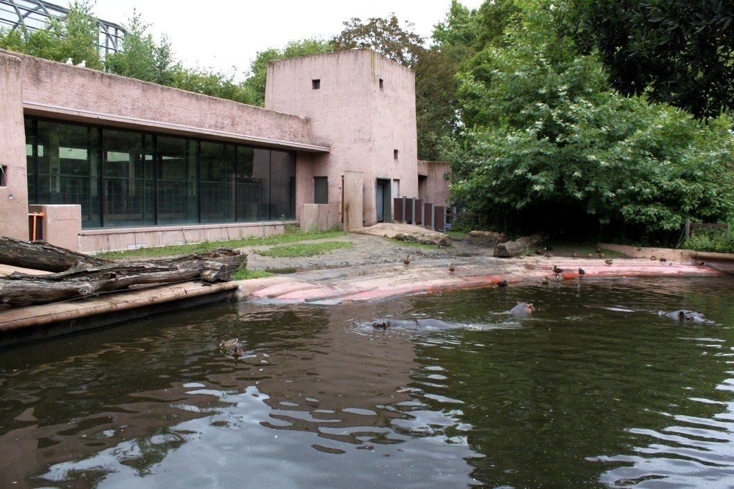 ZOO Antwerpen - Hippotopia (Hippo exhibit)
