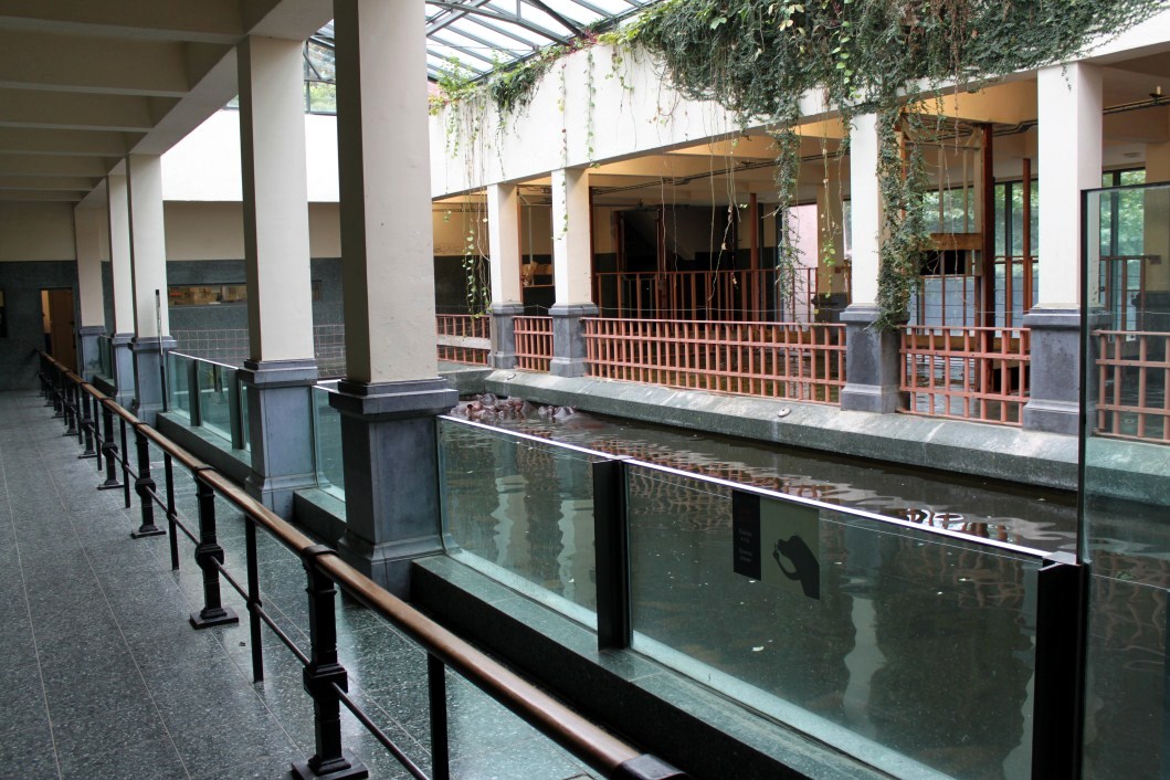 ZOO Antwerpen - Hippotopia (Hippo House)