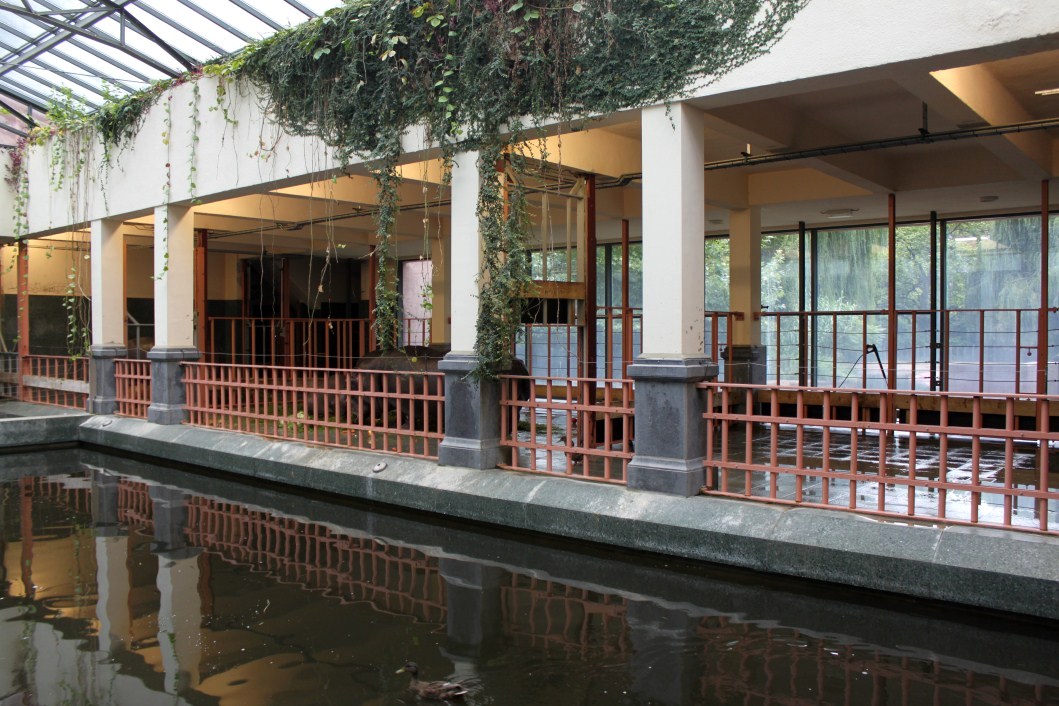 ZOO Antwerpen - Hippotopia (Hippo House)