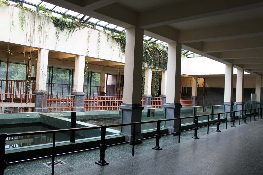 ZOO Antwerpen - Hippotopia (Hippo House)