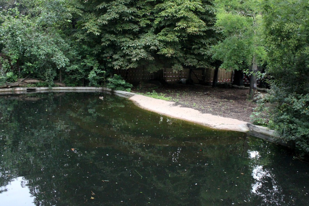ZOO Antwerpen - Hippotopia (Tapir exhibit)