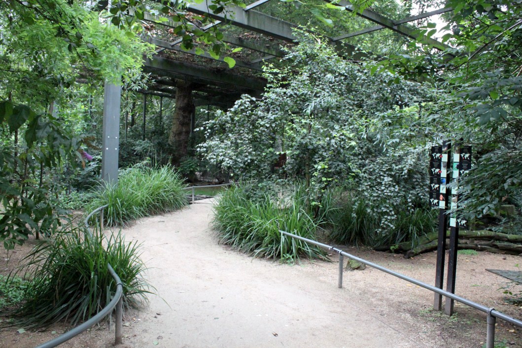 ZOO Antwerpen - Hippotopia (Walkthrough Aviary)