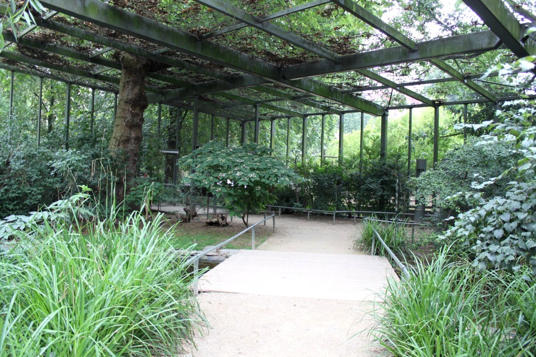 ZOO Antwerpen - Hippotopia (Walkthrough Aviary)