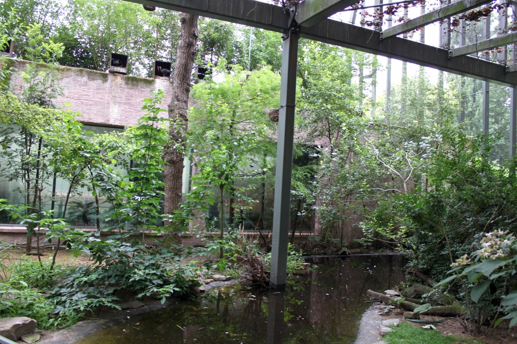 ZOO Antwerpen - Hippotopia (Walkthrough Aviary)