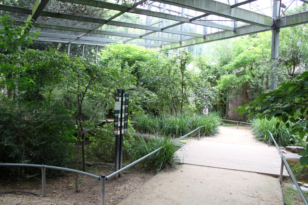 ZOO Antwerpen - Hippotopia (Walkthrough Aviary)