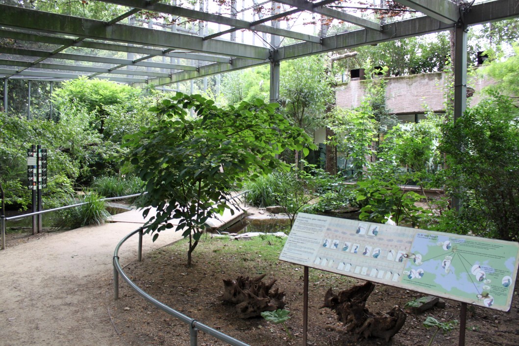 ZOO Antwerpen - Hippotopia (Walkthrough Aviary)