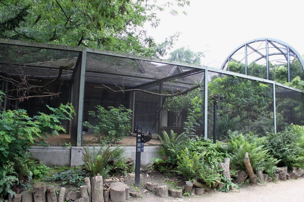 ZOO Antwerpen - Hippotopia (Walkthrough Aviary)