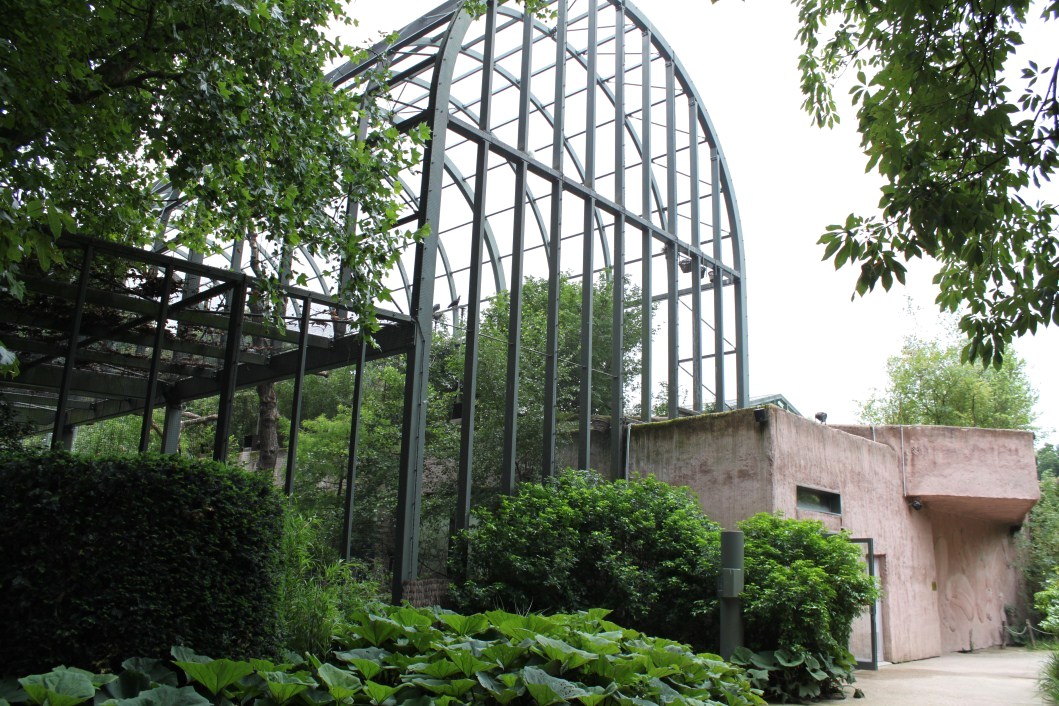 ZOO Antwerpen - Hippotopia