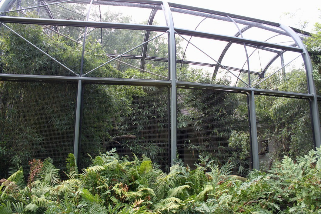 ZOO Antwerpen - Hornbill aviary