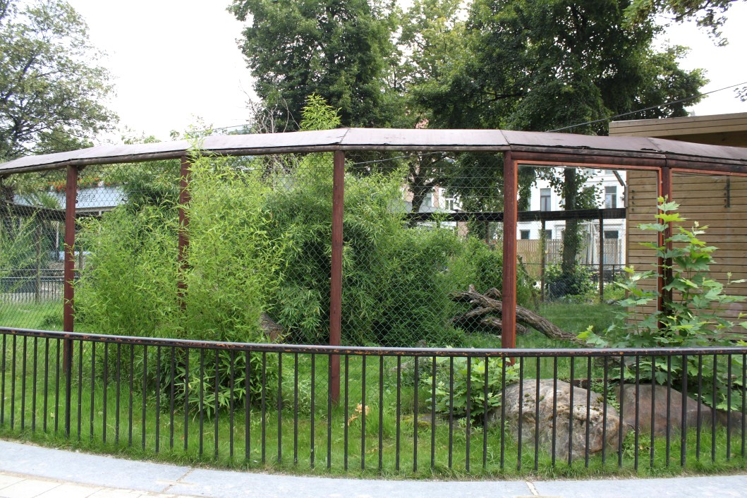 ZOO Antwerpen - Lemur exhibit