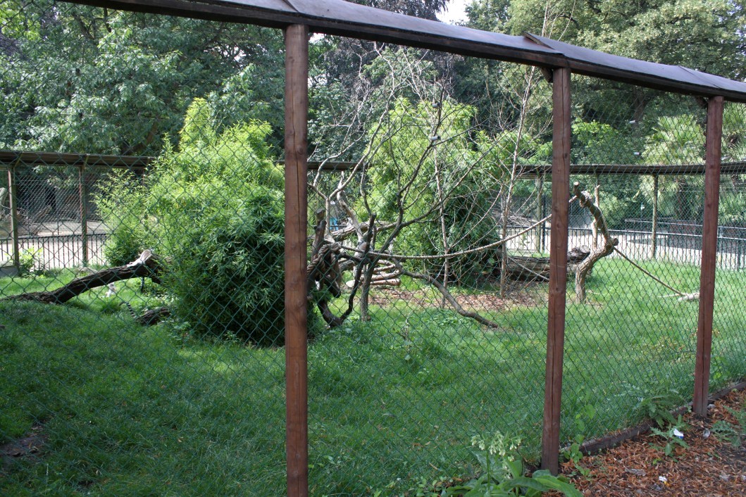ZOO Antwerpen - Lemur exhibit