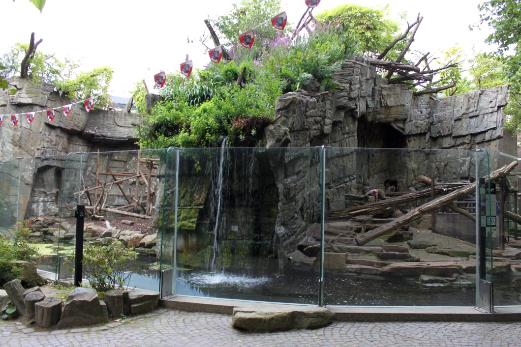 ZOO Antwerpen - Monkey exhibits