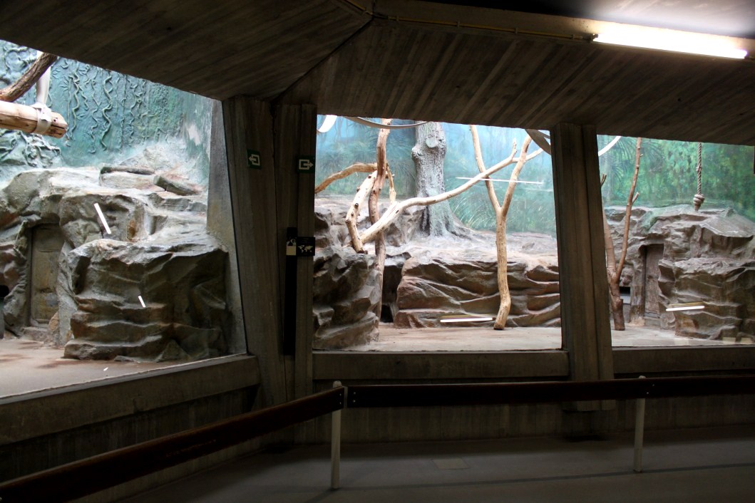 ZOO Antwerpen - Monkey House (Mantled colobus)