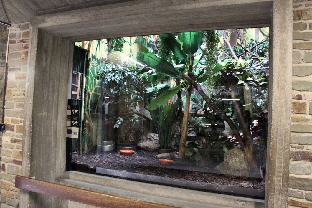 ZOO Antwerpen - Monkey House (Potto/armadillo)