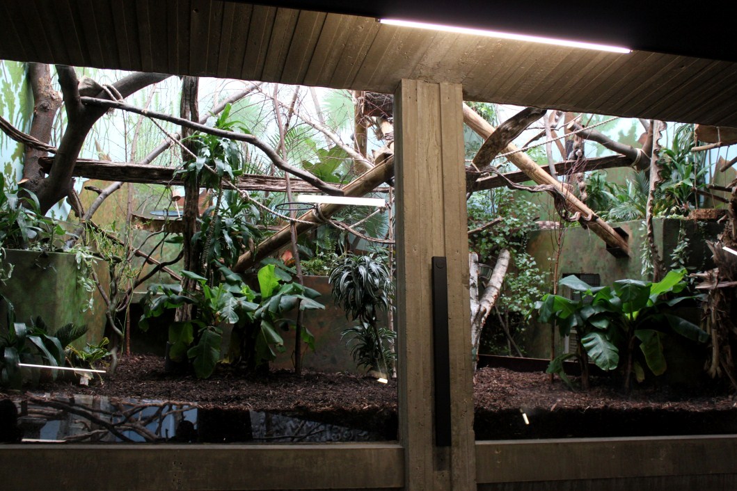 ZOO Antwerpen - Monkey House (Tamarin/marmoset)