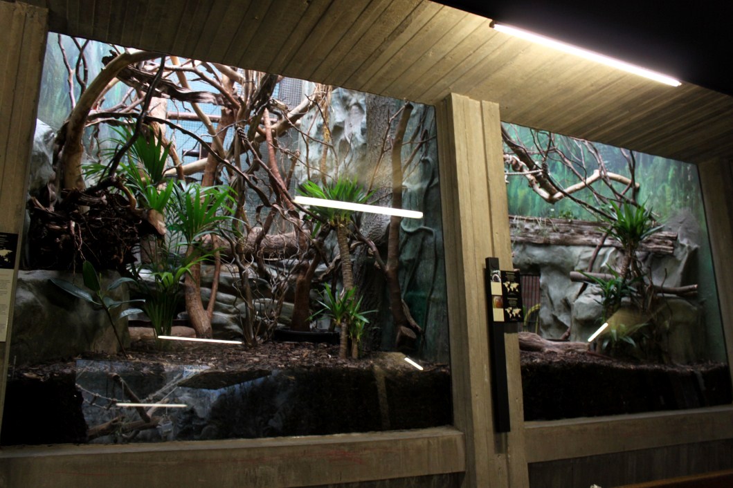 ZOO Antwerpen - Monkey House (Tamarin/marmoset)