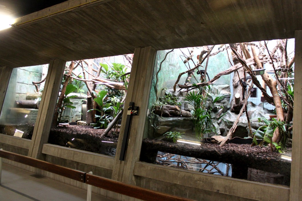 ZOO Antwerpen - Monkey House (Tamarin/sloth)