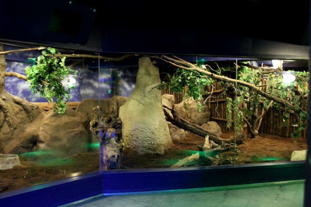 ZOO Antwerpen - Nocturama (Aardvark)