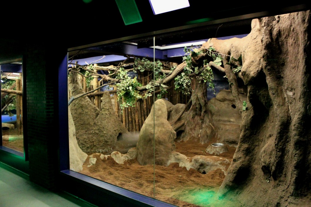 ZOO Antwerpen - Nocturama (Aardvark)