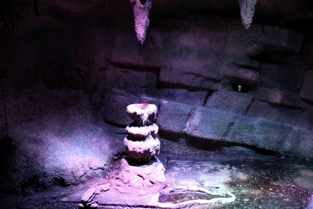 ZOO Antwerpen - Nocturama (Bat cave)
