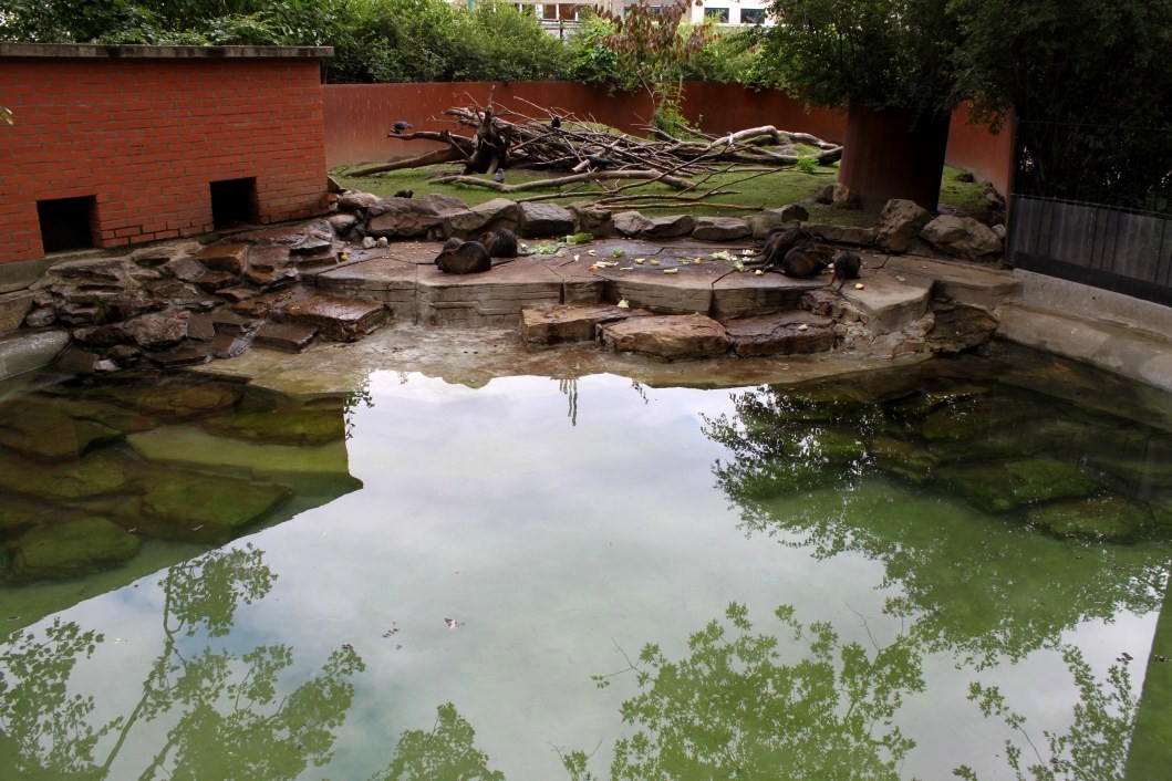 ZOO Antwerpen - Nutria exhibit