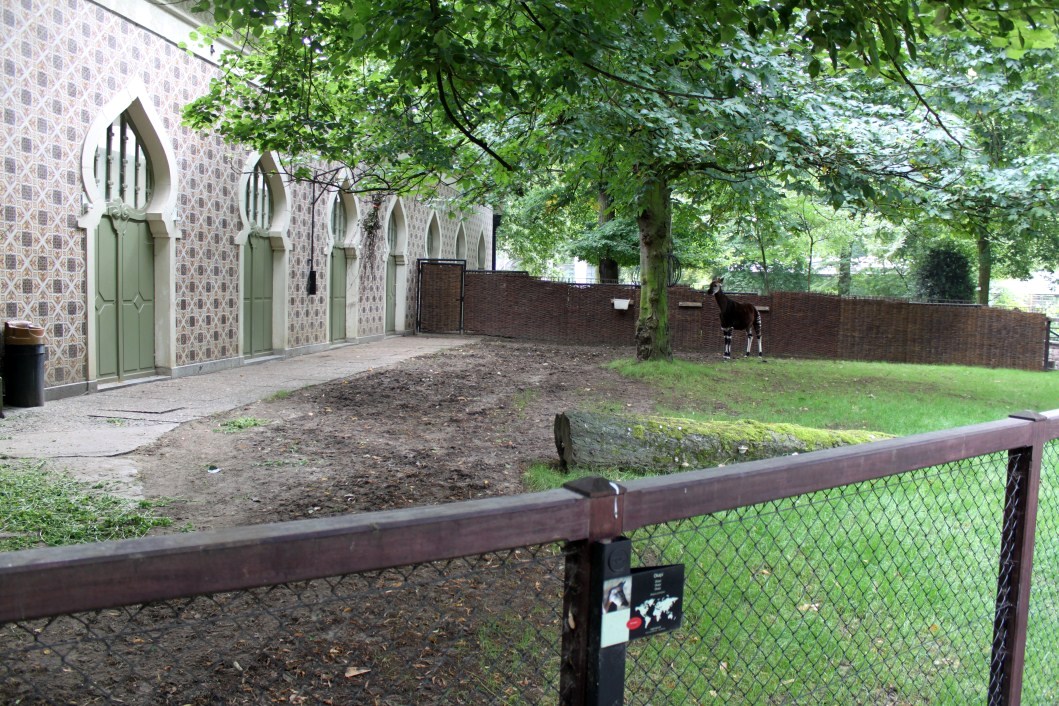ZOO Antwerpen - Okapi Breeding Centre